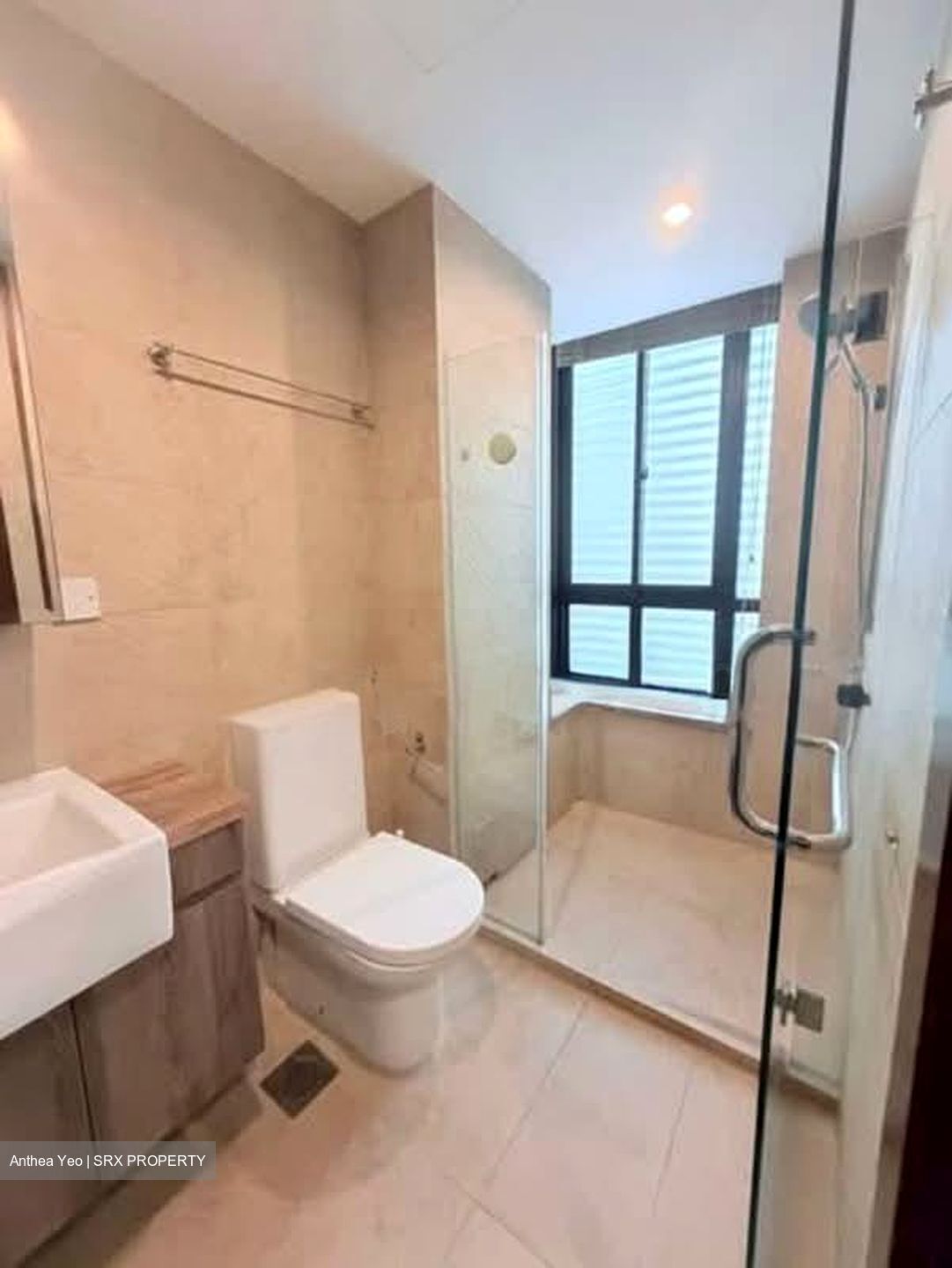 Holland Link (D10), Terrace #556148401